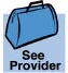 See Provider Illustration